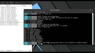 tail command in Linux terminal.