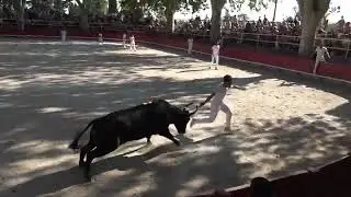 LE CAILAR (08/08/2024) - Le résumé de la course