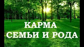 Родовая карма. Как активировать силу рода? |  Алория Собинова