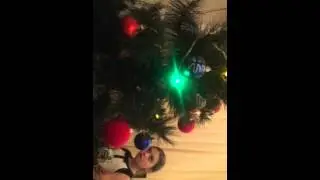 Рафик.рафик послал всех нафик))малую колбасит