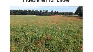 03a Indexieren