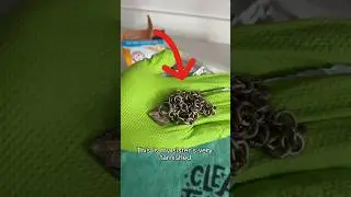 I saved my sister’s tarnished necklace with this simple hack! 