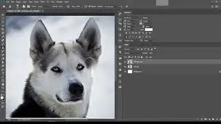 Clone Stamp Tool -Adobe Photoshop#adobephotoshop#photoshop  @facile_grafix.001