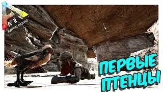 ARK: Survival Evolved ➤ Выживание На Рагнареке Выращиваем Птенцов