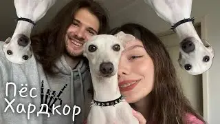 WE BECAME PARENTS 😱