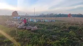 composting leaves is fun!