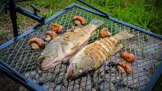 PESCAMOS 2 Fritos e Fizemos em um GRILL de Acampamento