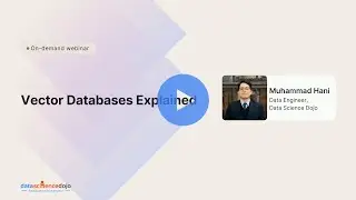 Vector Databases Explained: Insights, Applications, and Pinecone Tutorial