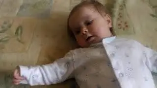 Кроха и Джек Рассел