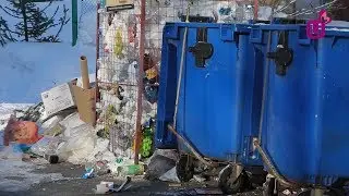 Кто должен убирать мусор вокруг контейнера