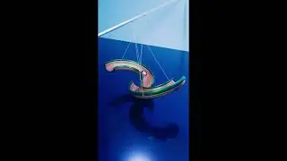Test loop animation Using Blender