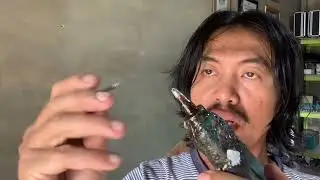 Alternatif memasang sekrup di dinding tanpa fischer