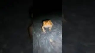 Со мной воюет сатана #мемы #рек #рекомендации #мем #сатана #shortsfunny #funny #funnyvideo