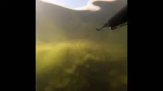 Подводная охота в сентябре в подмосковье