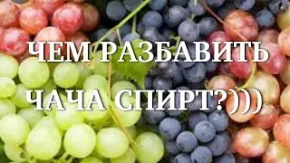 ЧЕМ РАЗБАВИТЬ ЧАЧА СПИРТ?)))