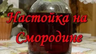 Настойка на  Смородине