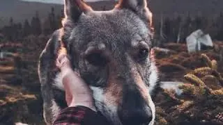 Руки в потолок