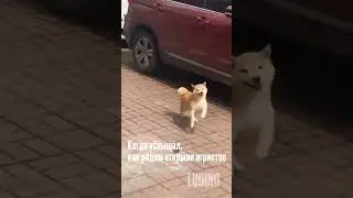 Ох этот звук грядущих выходных! 😌🍾