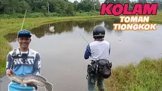 mancing toman kalimantan / toman disini sungguh menyiksa bathin