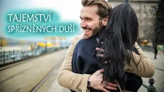 Tajemství spřízněných duší ♡ Arielle Ford⭐️