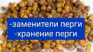 Substitutes for Bee Bread/Storage of Bee Bread. V.G. Kashkovsky