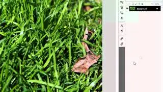 Photoshop | How to Use Content-Aware in CS5