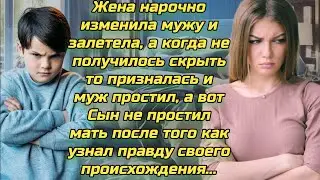 Жена нарочно изменила мужу и залетела, муж простил а вот сын нет. Истории ИЗМЕН АУДИОРАССКАЗ