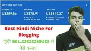 Hindi Blogging Niches | Best Niche For Hindi Blogging 2021