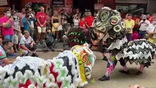 LION DANCE IN PETALING STREET / CHINATOWN KUALA LUMPUR,MALAYSIA 2023