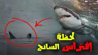 هجوم سمكة قرش على سائح روسي فى الغردقة - مصر تغلق البحر الاحمر
