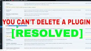 [resolved] You cannot delete a plugin while it is active on the main site