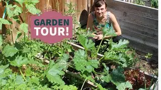 300 SUBSCRIBERS! Celebration via garden tour :)