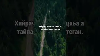 15. Даймахках лаьцна. ГIиллакхийн хазна – Ирсан некъаш