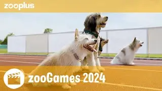 zooGames 2024!