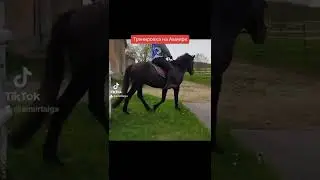 Снова тренируется с Амииром и тренируем девочку с нуля.