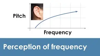 Perception of sound frequencies by the ear