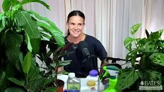 Common Houseplant Problems