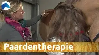 Je paard heeft een winterdip, wat te doen? | NH Bokt TV