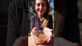 Tiramisu for breakfast