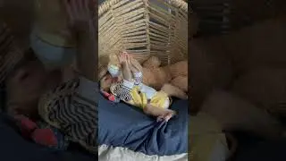 Harry baby monkey drinking milk 🍼