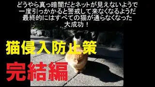 猫侵入防止策あれこれ【完結編】