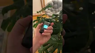 The Smartest Dumb Phone 📱 🥹😴