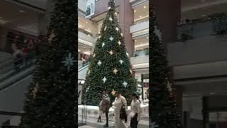 One two three the Christmas tree is burning 