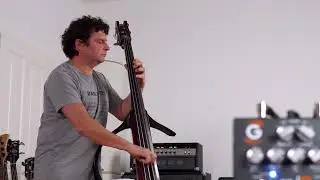 Genzler Amplification - re:Q pedal with electric Upright demo.