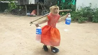 YaYa Walking With New Shoes By Carrying Bottle Water
