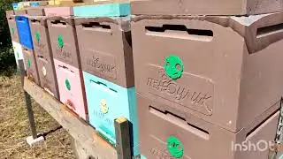 Modules for transporting bees.