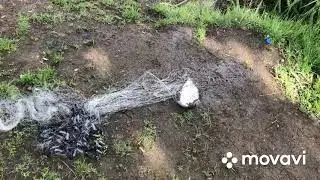 Ловля на кастинговую сеть.