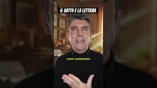 Il gatto e la lettiera #gatto #lettiera #humor #fun #comedy #cabaret