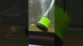 My goldfish’s head got sucked off