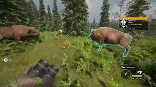 theHunter: Call of the Wild™ Bug with animals